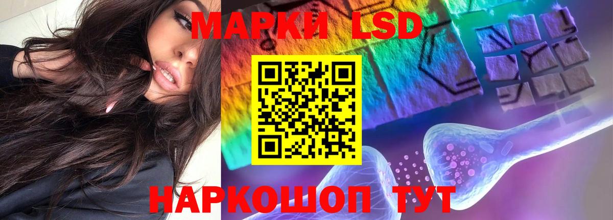 Мурино  LSD-25 экстази  Вход с VPN  Лсд 25 экстази кислота 