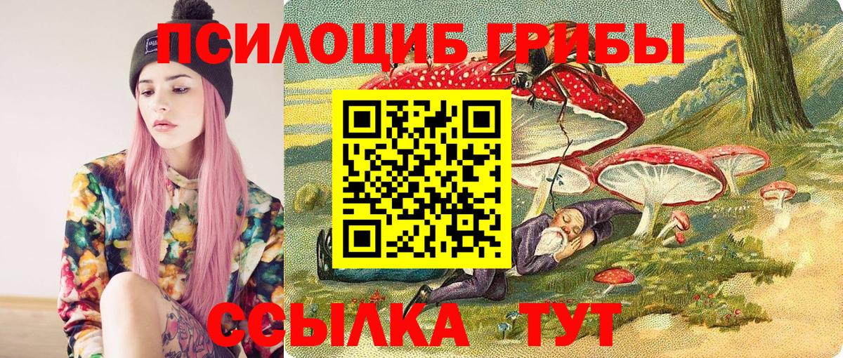 Псилоцибиновые грибы MAGIC MUSHROOMS  Вход с VPN  даркнет сайт  Мурино  Псилоцибиновые грибы GOLDEN TEACHER 