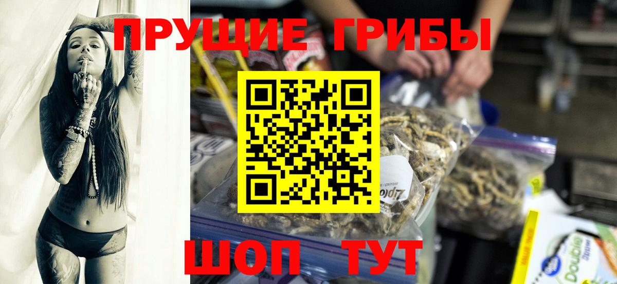 Псилоцибиновые грибы Psilocybe Мурино